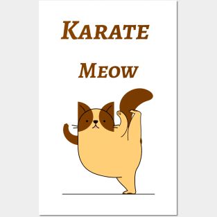 Karate Meow, Funny Kung Fu Cat , Ninja Cat Posters and Art